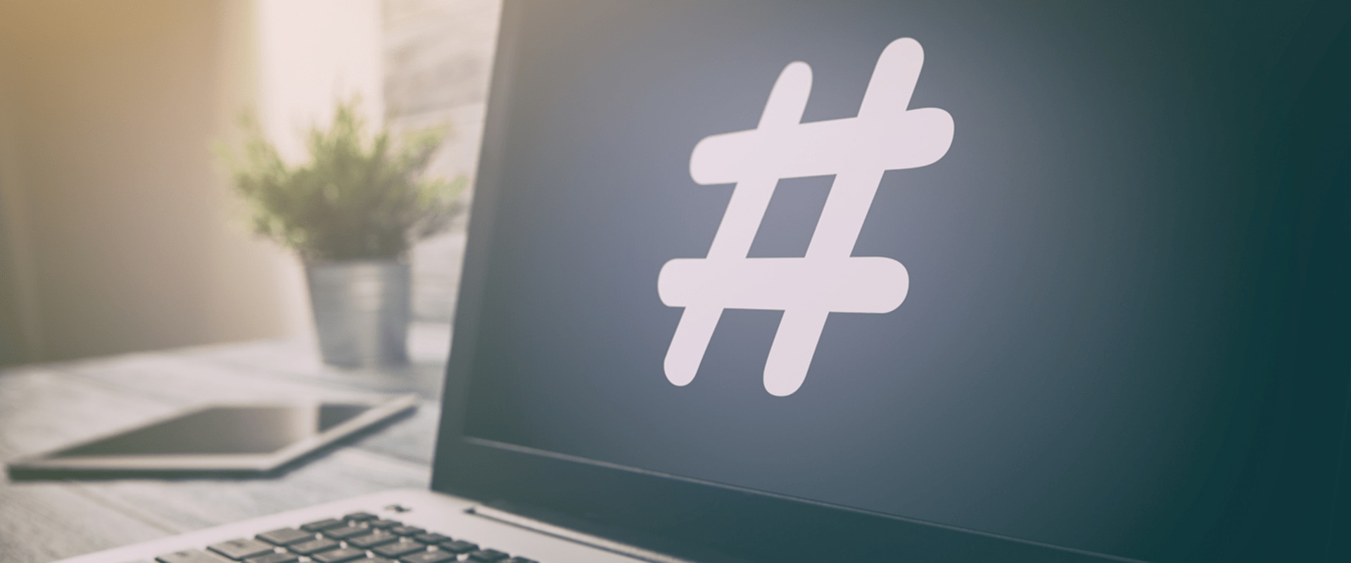 So verwenden Sie Hashtag-Kampagnen für erfolgreiches Online-Marketing